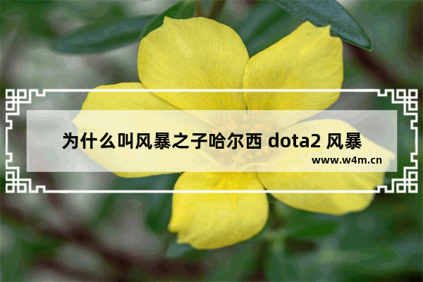 为什么叫风暴之子哈尔西 dota2 风暴之子