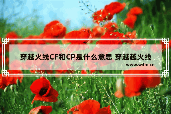 穿越火线CF和CP是什么意思 穿越越火线同人