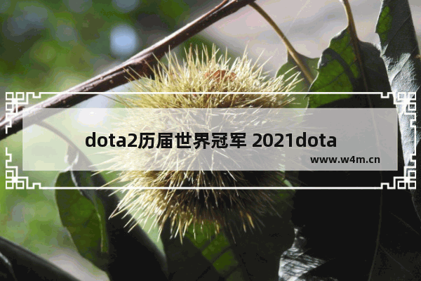 dota2历届世界冠军 2021dota2全球总决赛