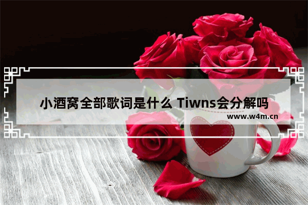 小酒窝全部歌词是什么 Tiwns会分解吗