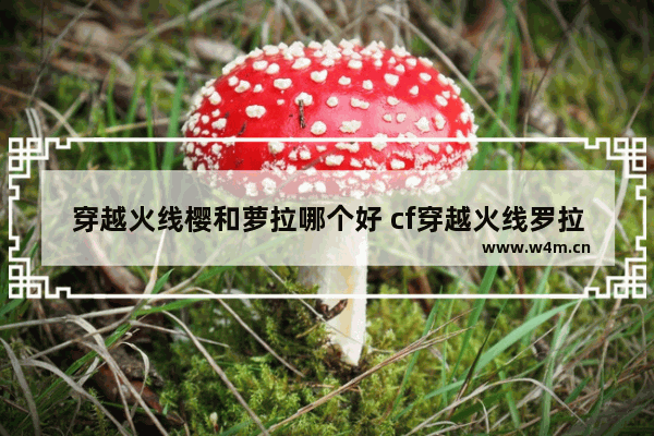 穿越火线樱和萝拉哪个好 cf穿越火线罗拉