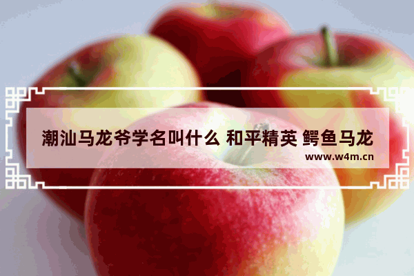 潮汕马龙爷学名叫什么 和平精英 鳄鱼马龙