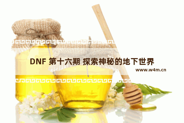 DNF 第十六期 探索神秘的地下世界