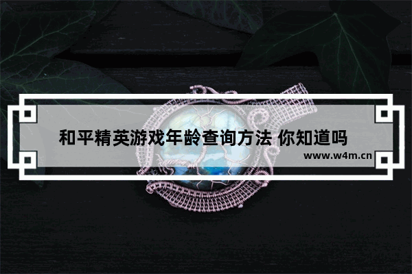 和平精英游戏年龄查询方法 你知道吗 