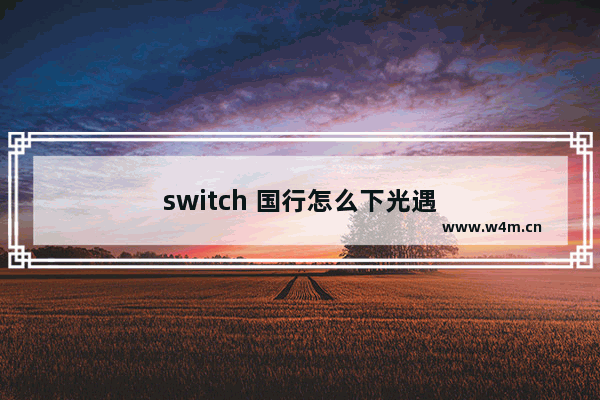 switch 国行怎么下光遇