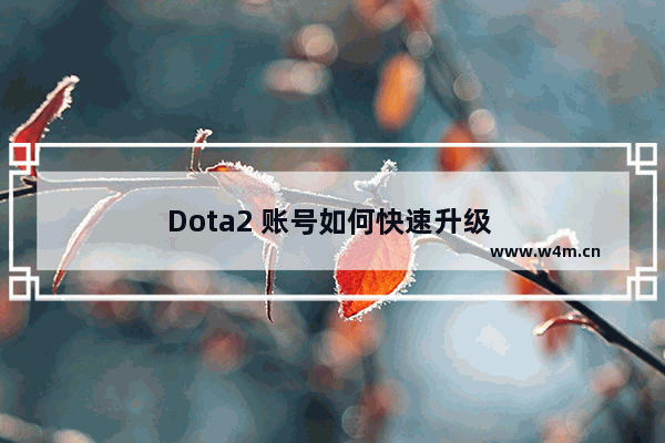 Dota2 账号如何快速升级 