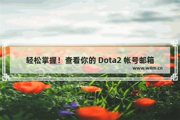 轻松掌握！查看你的 Dota2 帐号邮箱