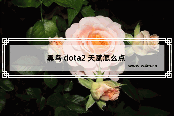 黑鸟 dota2 天赋怎么点 