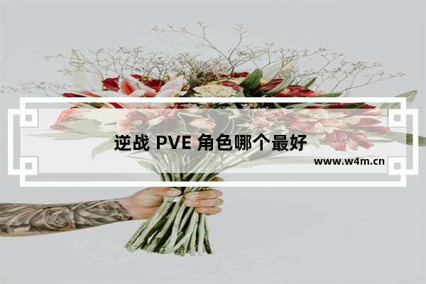 逆战 PVE 角色哪个最好 