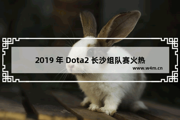 2019 年 Dota2 长沙组队赛火热开启！