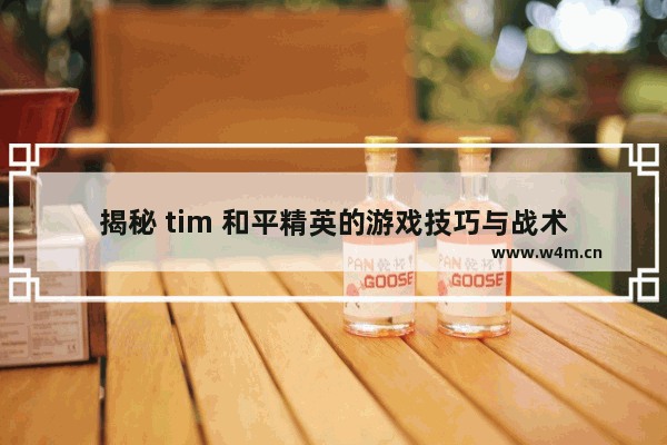 揭秘 tim 和平精英的游戏技巧与战术