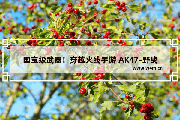 国宝级武器！穿越火线手游 AK47-野战军评测