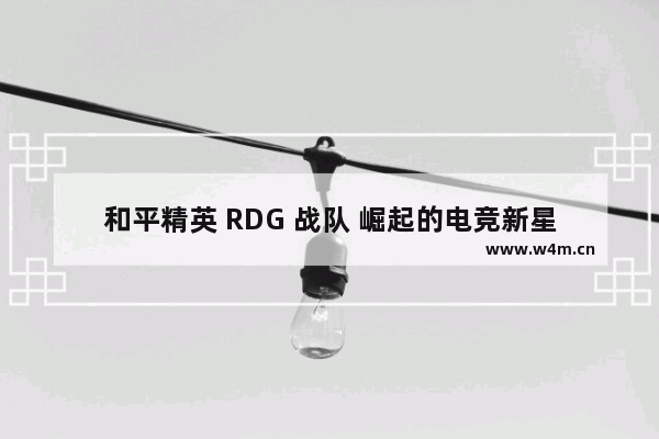 和平精英 RDG 战队 崛起的电竞新星