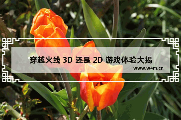 穿越火线 3D 还是 2D 游戏体验大揭秘！