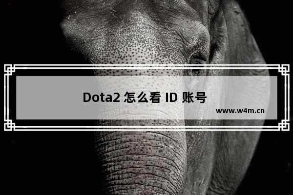 Dota2 怎么看 ID 账号 