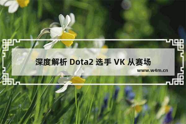 深度解析 Dota2 选手 VK 从赛场表现到个人生活