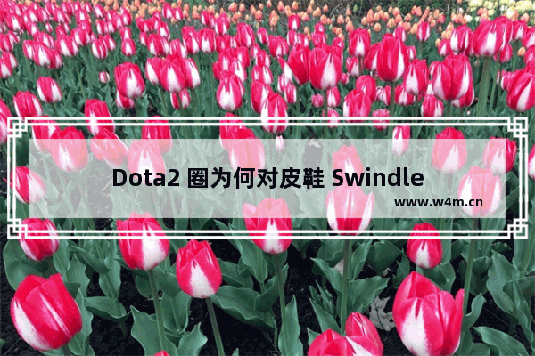 Dota2 圈为何对皮鞋 Swindle 口诛笔伐 