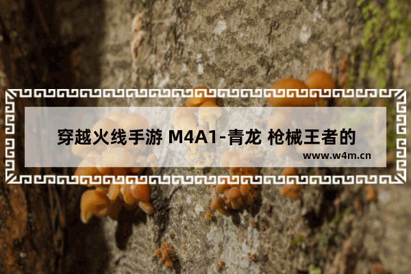 穿越火线手游 M4A1-青龙 枪械王者的荣耀回归