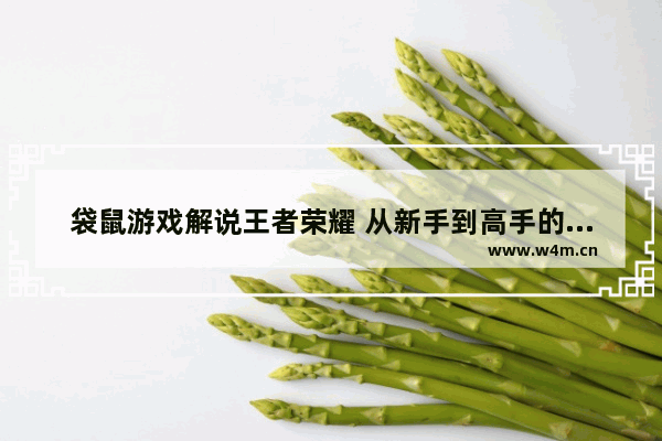 袋鼠游戏解说王者荣耀 从新手到高手的进阶之路