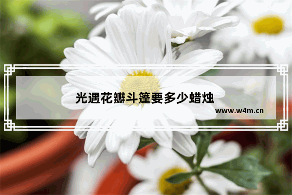 光遇花瓣斗篷要多少蜡烛 