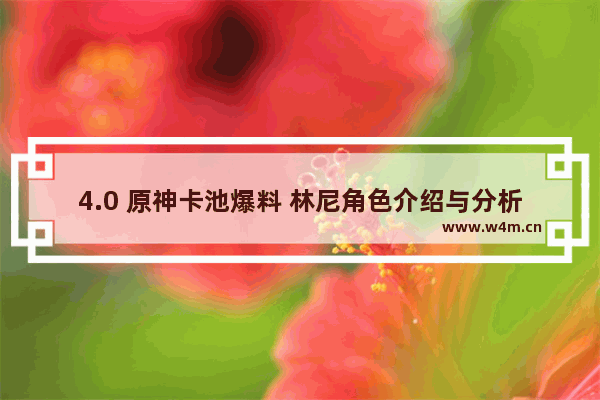 4.0 原神卡池爆料 林尼角色介绍与分析