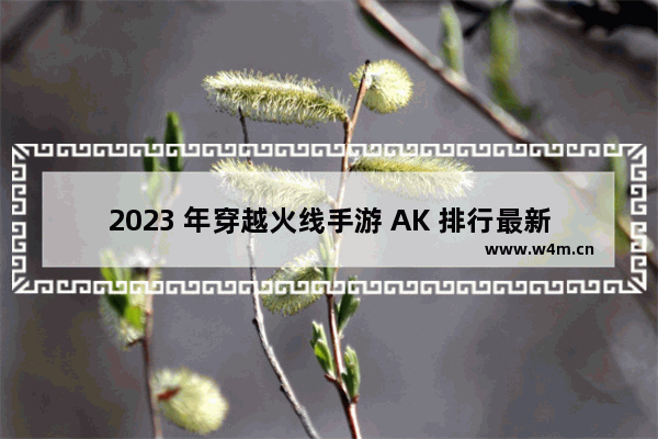 2023 年穿越火线手游 AK 排行最新版