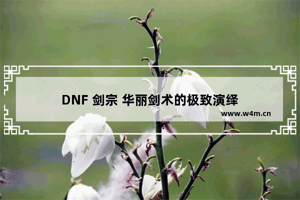 DNF 剑宗 华丽剑术的极致演绎