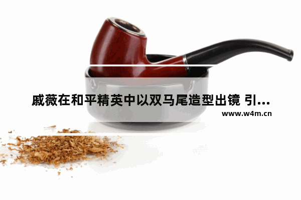 戚薇在和平精英中以双马尾造型出镜 引发网友热议