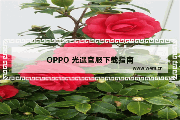 OPPO 光遇官服下载指南