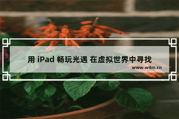 用 iPad 畅玩光遇 在虚拟世界中寻找内心的宁静