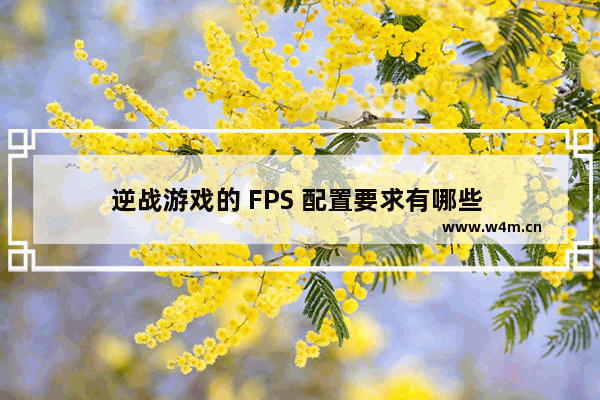 逆战游戏的 FPS 配置要求有哪些 