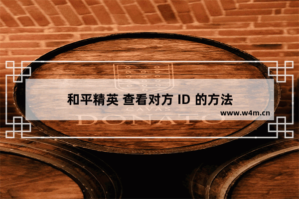 和平精英 查看对方 ID 的方法