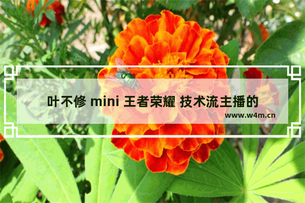 叶不修 mini 王者荣耀 技术流主播的崛起