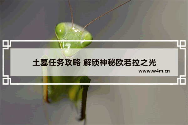 土墓任务攻略 解锁神秘欧若拉之光