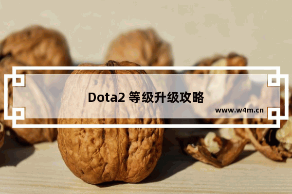 Dota2 等级升级攻略