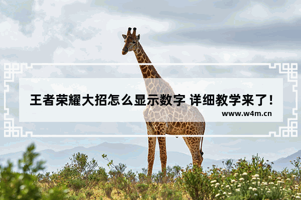 王者荣耀大招怎么显示数字 详细教学来了！