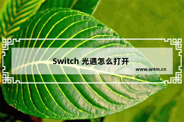 Switch 光遇怎么打开 