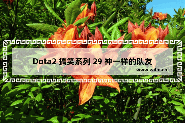 Dota2 搞笑系列 29 神一样的队友