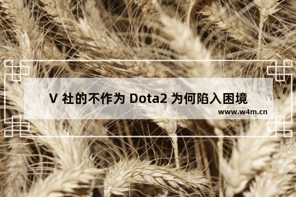 V 社的不作为 Dota2 为何陷入困境 