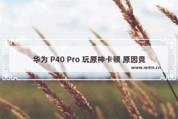 华为 P40 Pro 玩原神卡顿 原因竟然是这个！