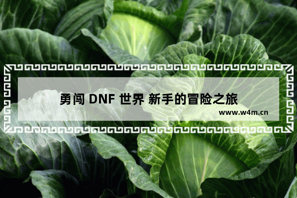 勇闯 DNF 世界 新手的冒险之旅