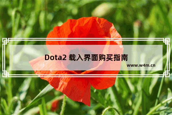 Dota2 载入界面购买指南