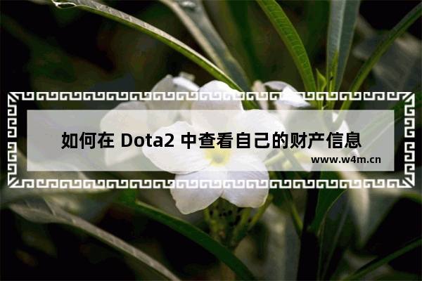 如何在 Dota2 中查看自己的财产信息