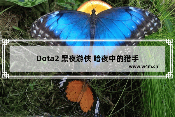 Dota2 黑夜游侠 暗夜中的猎手