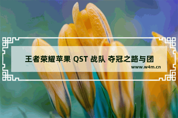 王者荣耀苹果 QST 战队 夺冠之路与团队精神