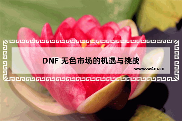 DNF 无色市场的机遇与挑战