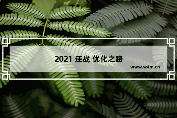 2021 逆战 优化之路