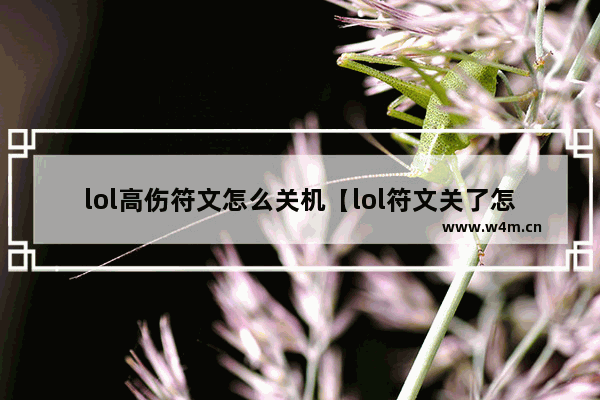 lol高伤符文怎么关机【lol符文关了怎么开】