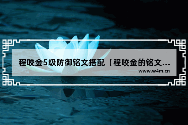 程咬金5级防御铭文搭配【程咬金的铭文最强铭文】