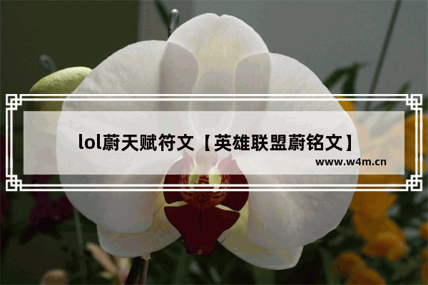 lol蔚天赋符文【英雄联盟蔚铭文】